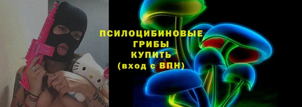 прущий лед Инта