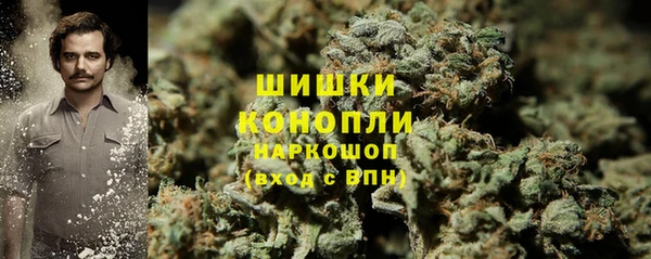 спайс Инсар