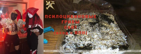 прущий лед Инта