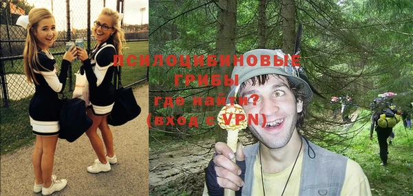 мдпв Иннополис